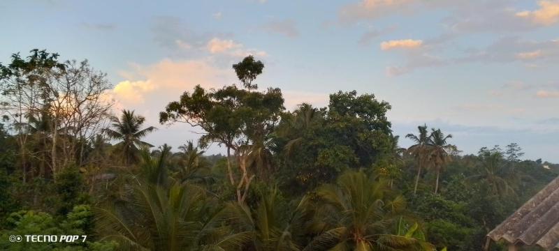Villa Tharu - image 43