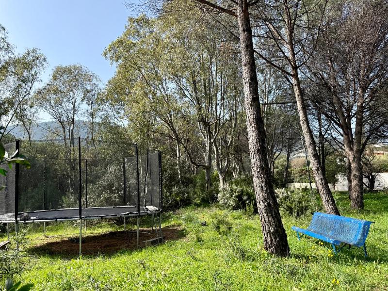 Domaine du Mas de Peyres - image 7