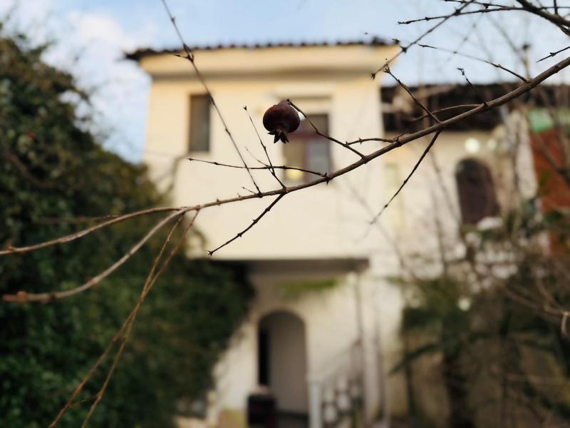 Luxury Villa in Gjuhadol - image 6