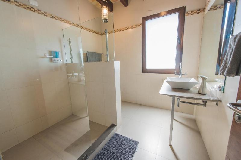 COSIJOPI · Spacious Colonial Home with Terrace - image 7