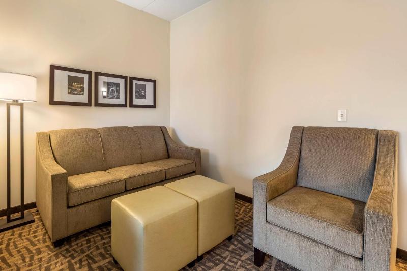 Comfort Inn & Suites Pittsburgh-Northshore - image 3