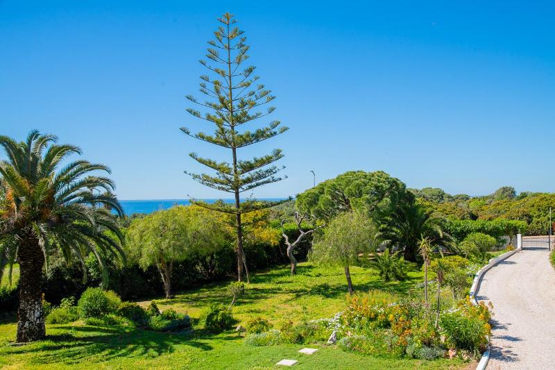 Casa Ryder - Short walk from Praia da Marinha - image 23