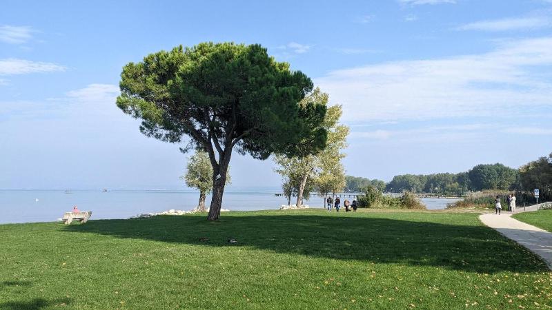 Il Giardino dell'Eden - Italian Homing - image 16