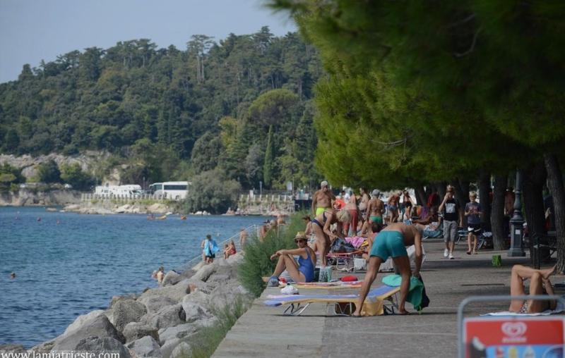 Trieste Sea Life - image 45
