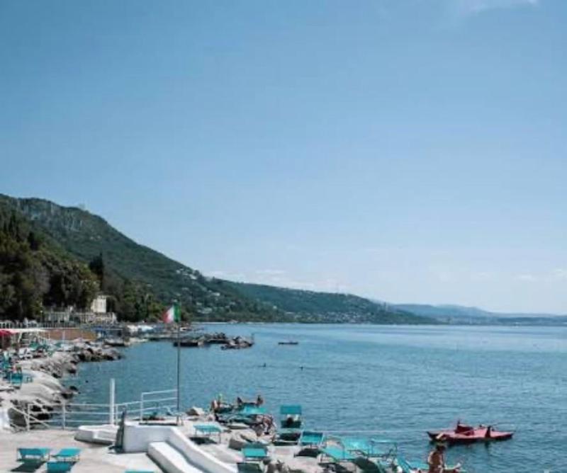 Trieste Sea Life - image 50
