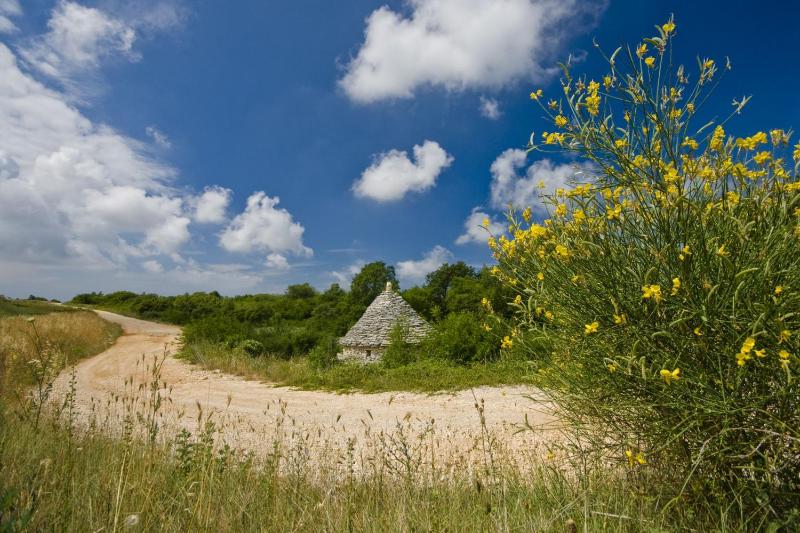 Casa Nora in centre of Vodnjan - Happy Rentals - image 4