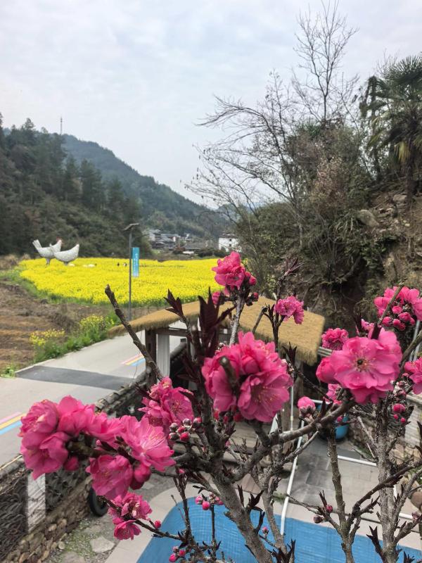 Xiangzixi Homestay-Inside the Park-no queues Enter-English Service-free Tour Itinerary Planning - image 45