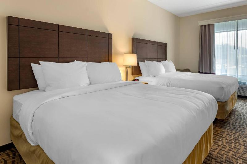 Comfort Inn & Suites Pittsburgh-Northshore - image 8