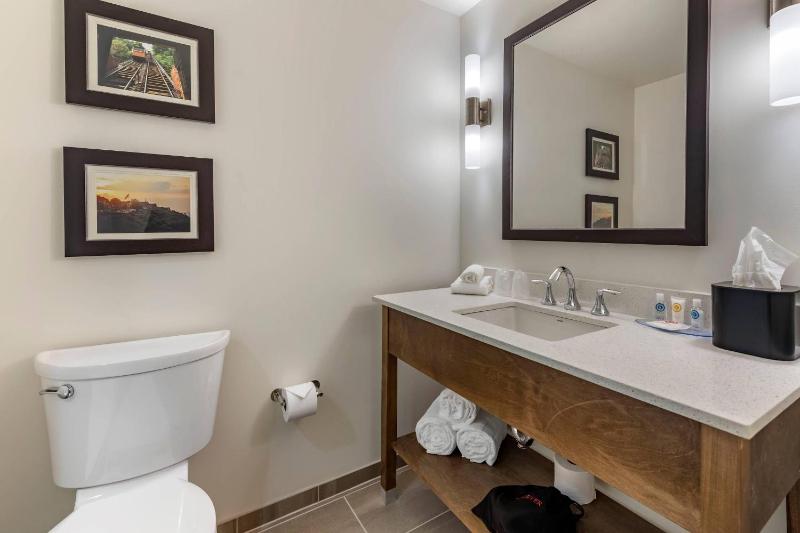 Comfort Inn & Suites Pittsburgh-Northshore - image 21
