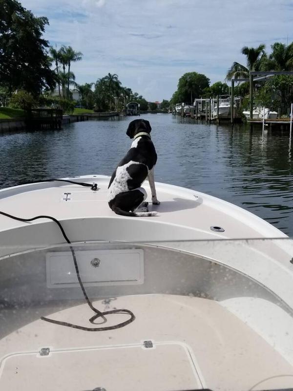 Pool-Waterfront-Pet Friendly - image 7