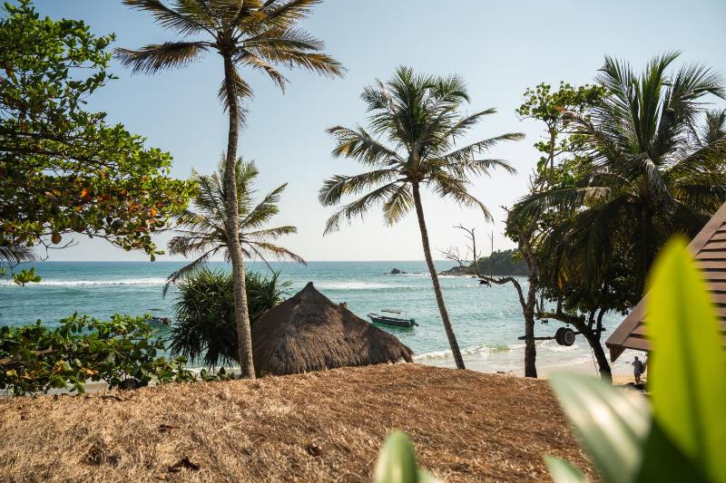 Petti Petti Beach Club- Mirissa - image 16