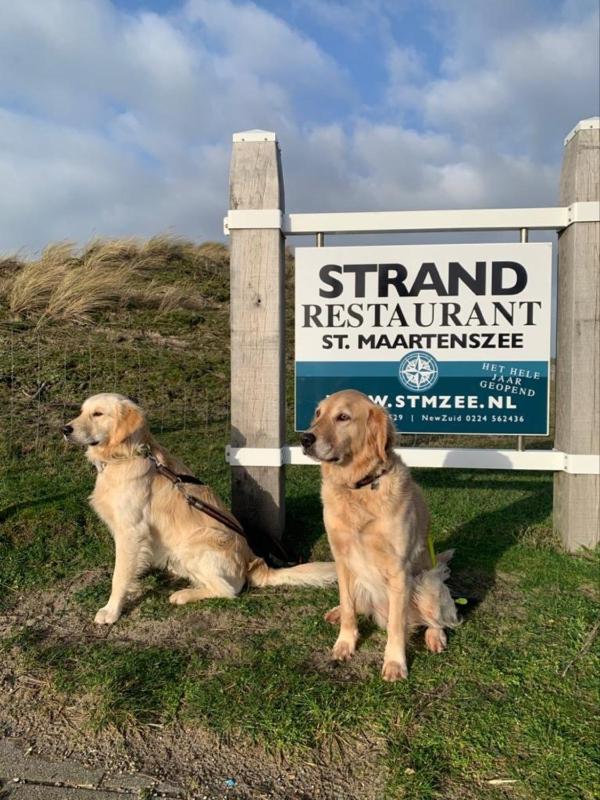 Strandnahes Nr 156 Ferienhaus mit traumhaften Wintergarten und uneinsehbaren grossen Garten Eckgrundstück - image 36