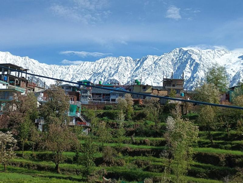 Anchal House - image 19