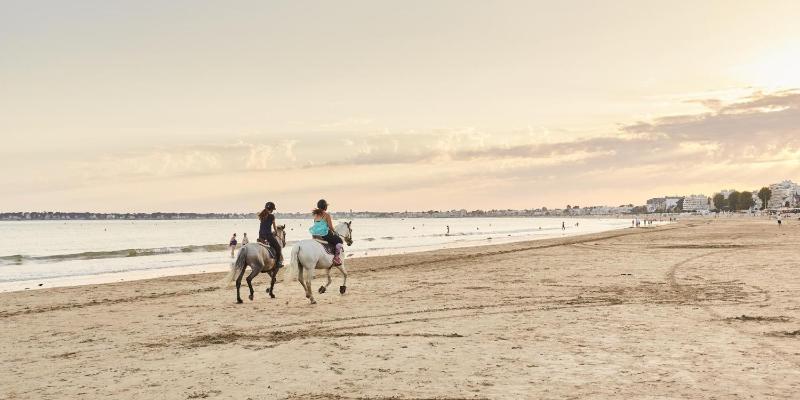 Belle Isle - image 18