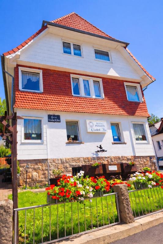Hotel Elisabeth Ilse - image 1