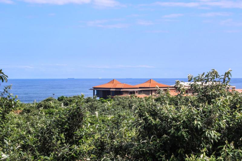 204 Zimbali Suites - image 7