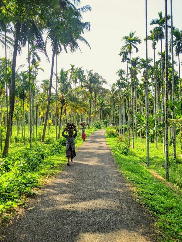 Nathaliya Home Stay - image 18
