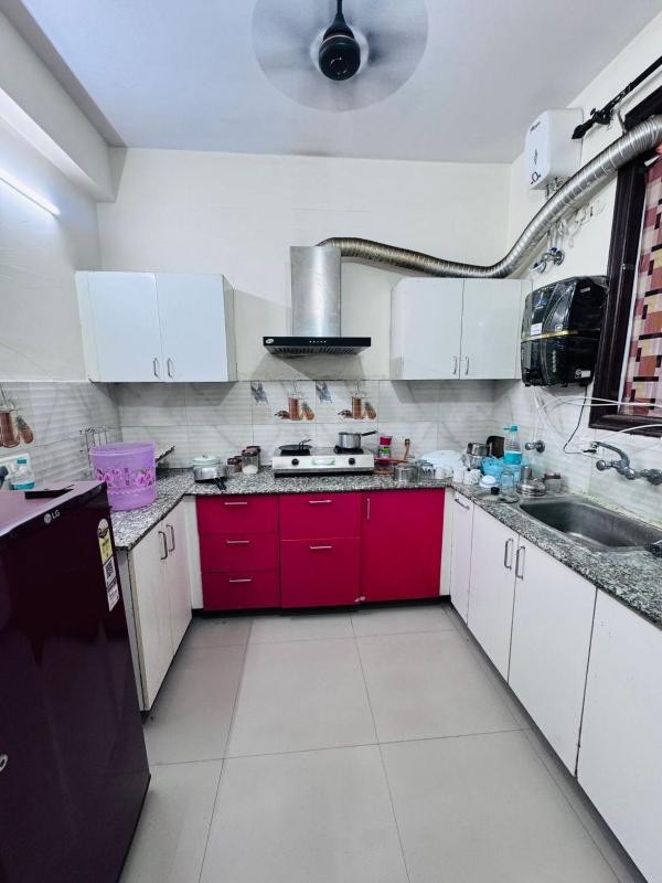 Homely stay - image 7