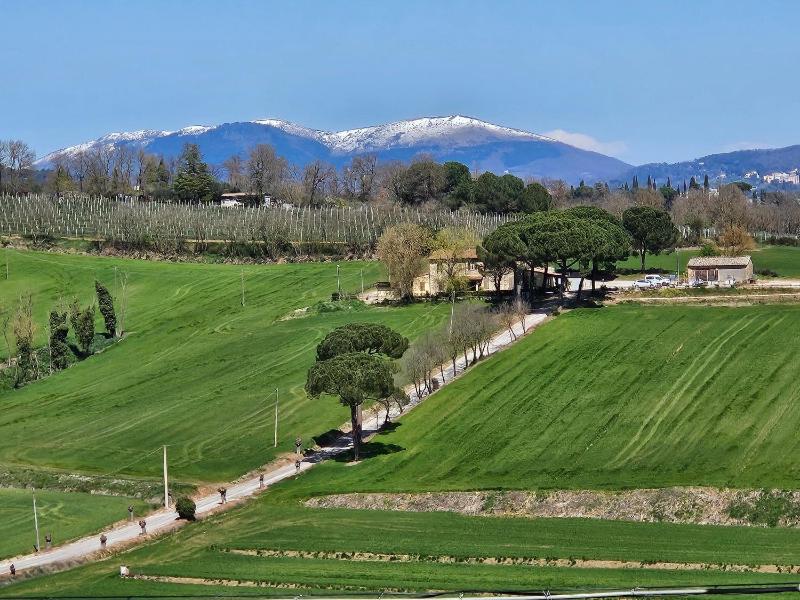 Agriturismo Il Pappamerlo - image 24