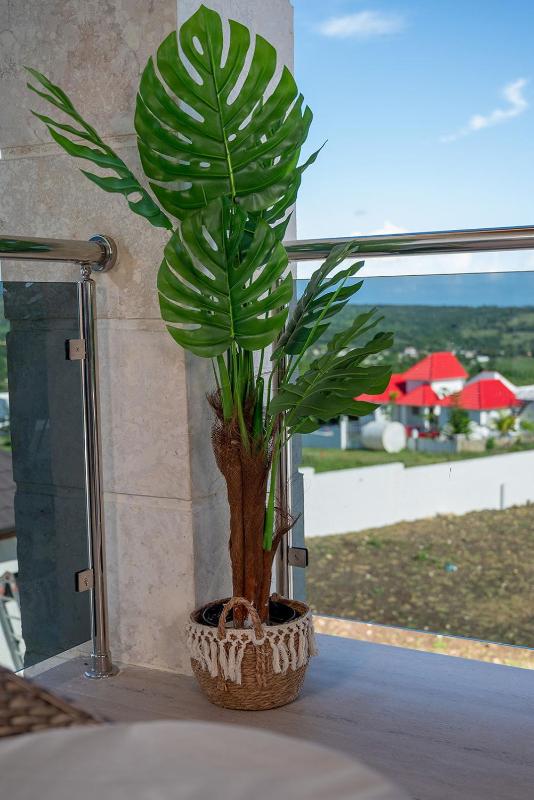 Villa Sol del Caribe Luxury Relaxation - image 2