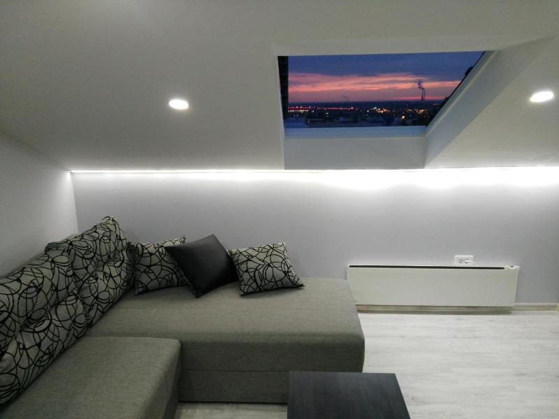 One-Bedroom Apartment image 4