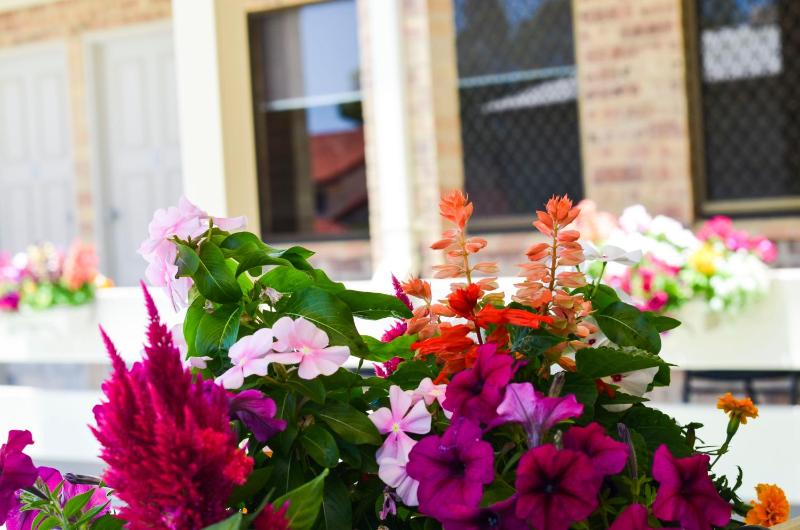 Golden Beach Motor Inn Caloundra - image 27