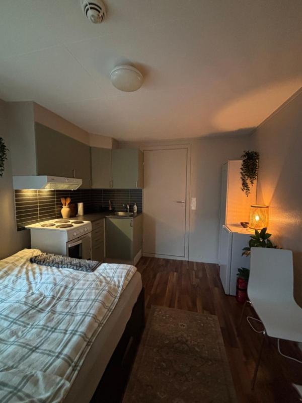Central studio apartment - image 17