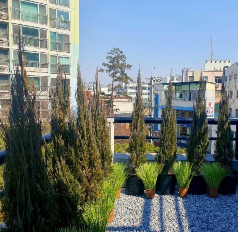 Veranda11 - Private stay in the heart of Jongno - image 12