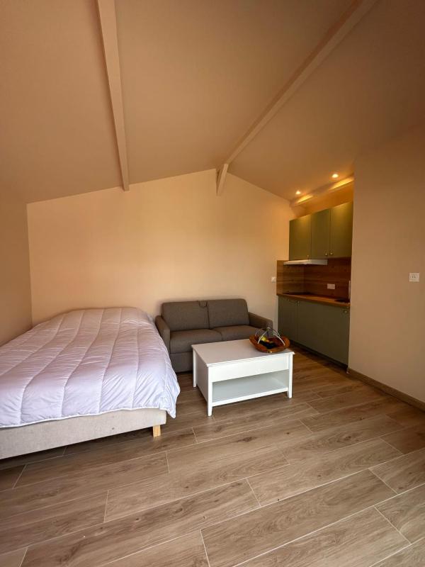 la cabane de la plage au milieu des pins parking privé 300m de la plage - image 12