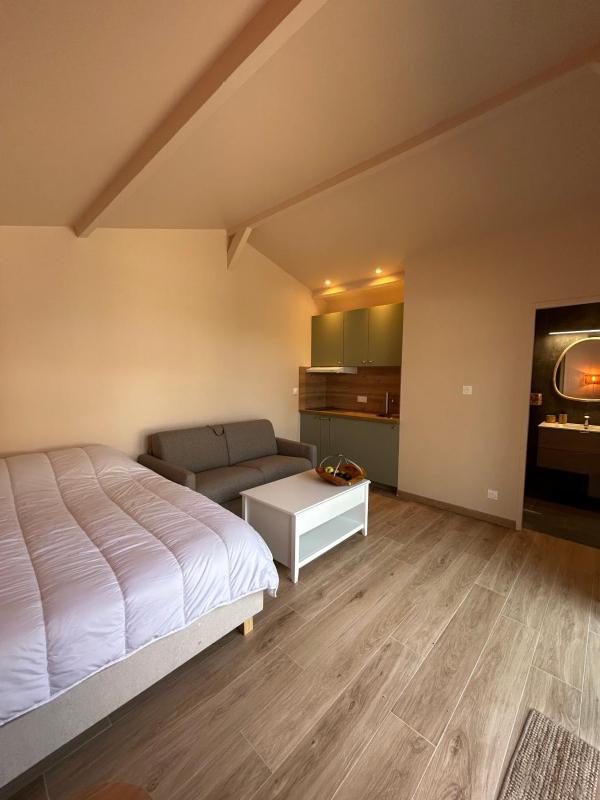 la cabane de la plage au milieu des pins parking privé 300m de la plage - image 8