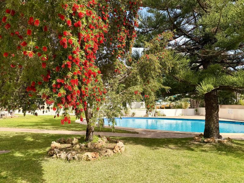 Apartamento para 2 con piscina en La Pinta planta 18 - image 15