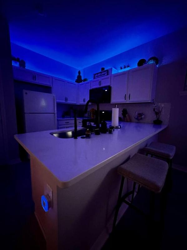 Downtown Orlando Modern Zen Studio Private Hot Tub - image 2