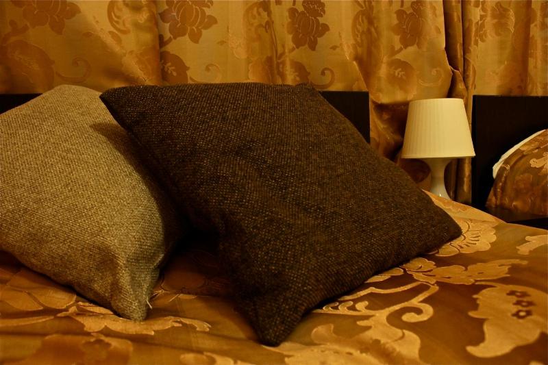 Standard Double Room image 3