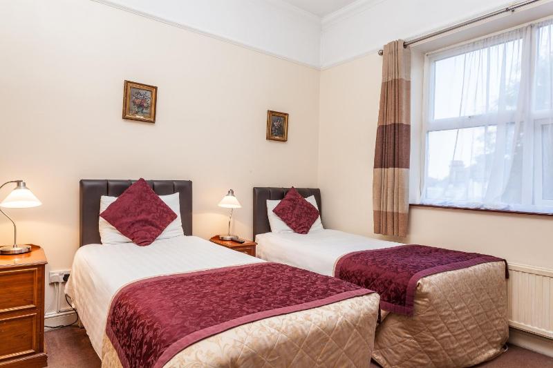 Large Twin Room image 1