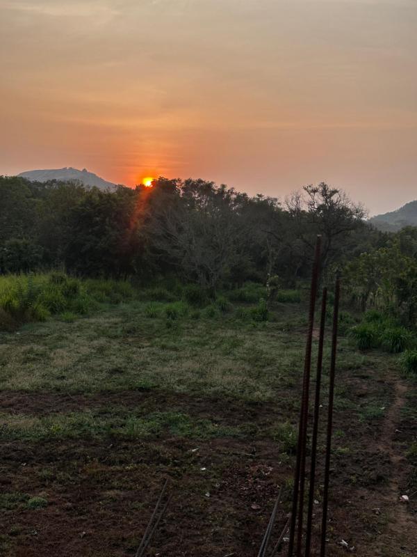 The Sigiriya Rock Gate Chalet - image 10