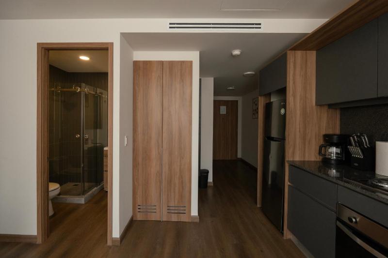 Furnished 2 Bedroom Apartment in Mexico City - image 5
