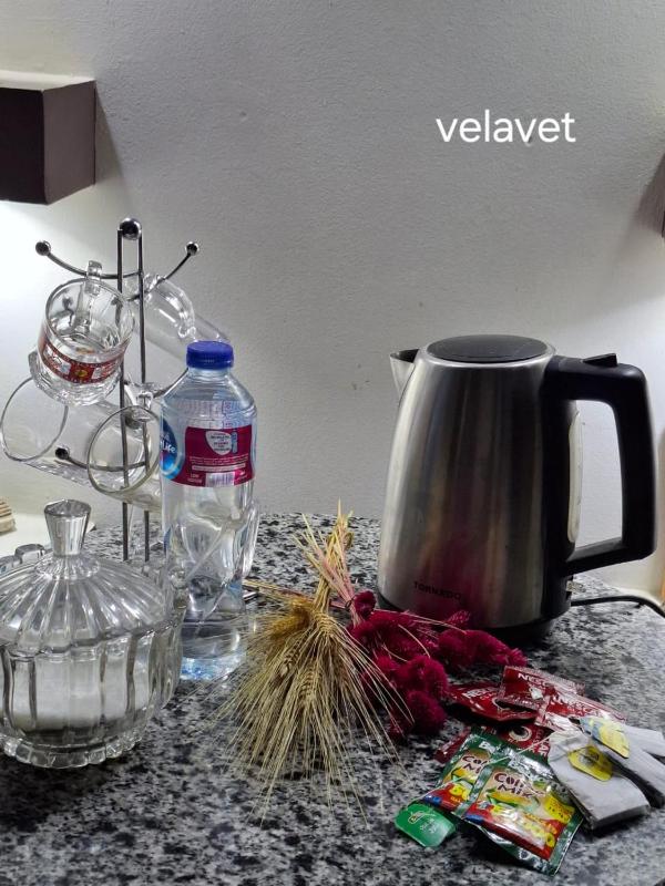 Dawn tawn velavet - image 6