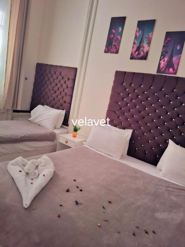 Dawn tawn velavet - image 5