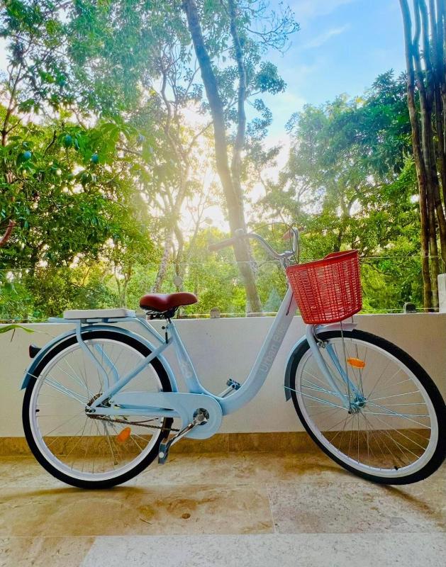 #teamotulum Jungle Escape in Tulum - image 10