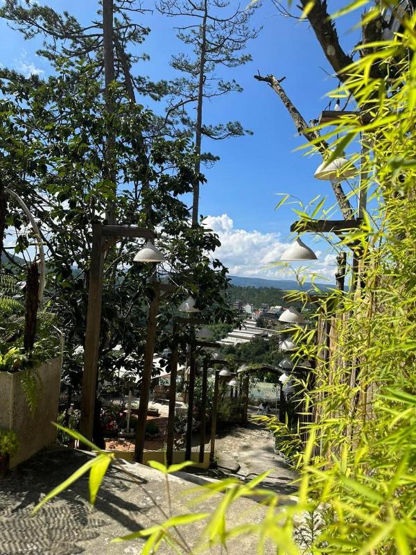 Homestay Tổ Chim-Đà Lạt - image 6