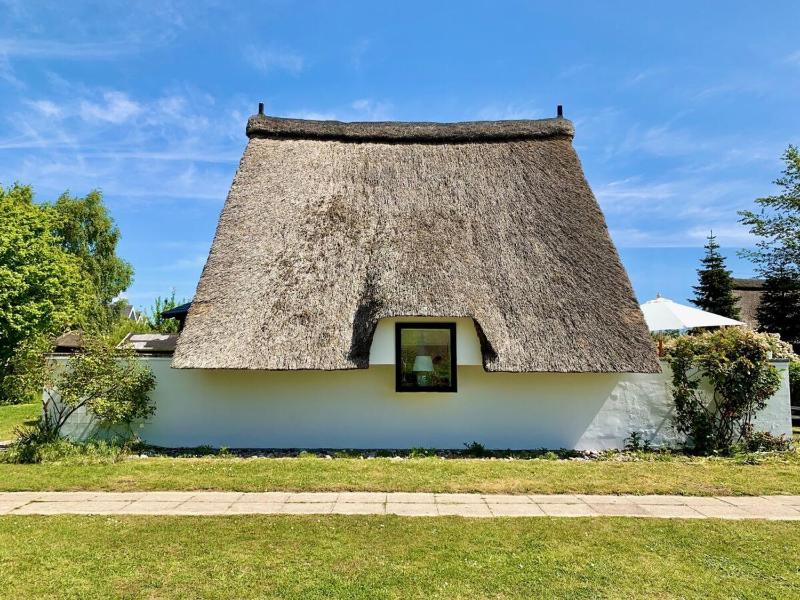 Ferienhaus Reetloft mit großer Terrasse in Grossenbrode - image 9