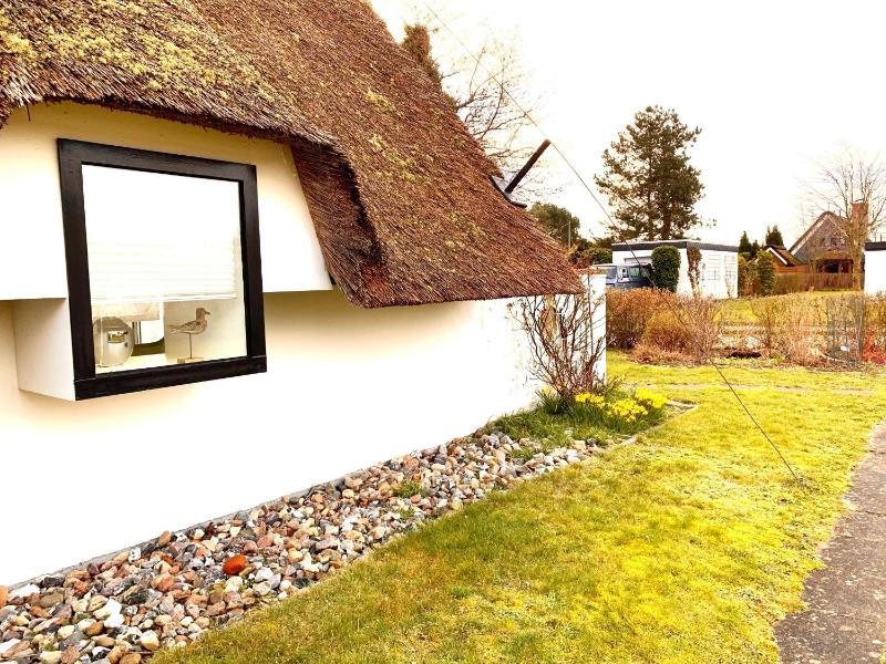 Ferienhaus Reetloft mit großer Terrasse in Grossenbrode - image 2