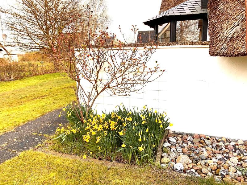 Ferienhaus Reetloft mit großer Terrasse in Grossenbrode - image 10