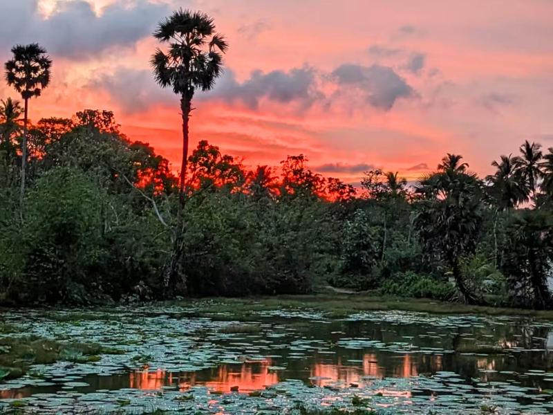 Lake View Cabana near Tangalle - image 8