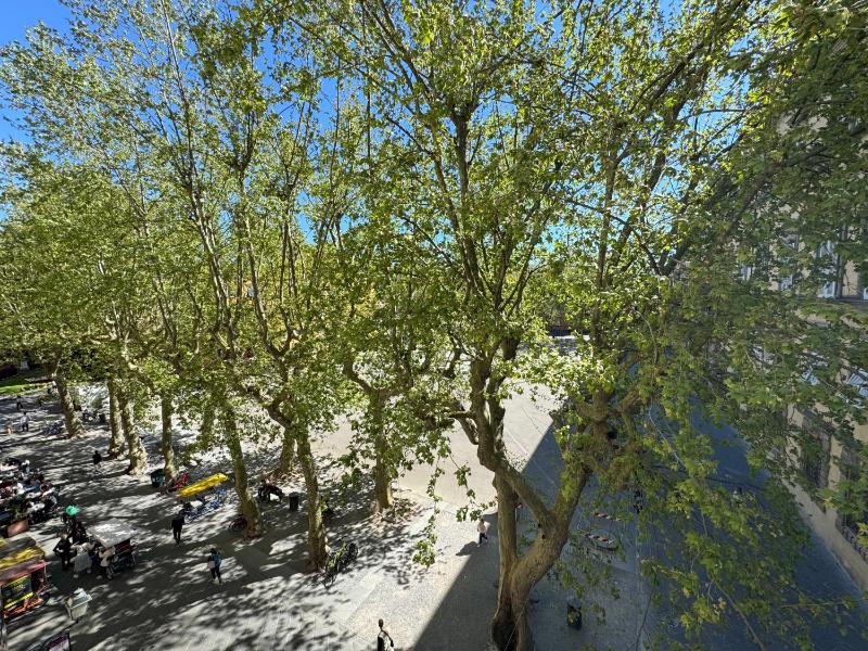 Casa Anna 13 - image 50
