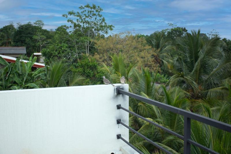 Villa Tharu - image 3