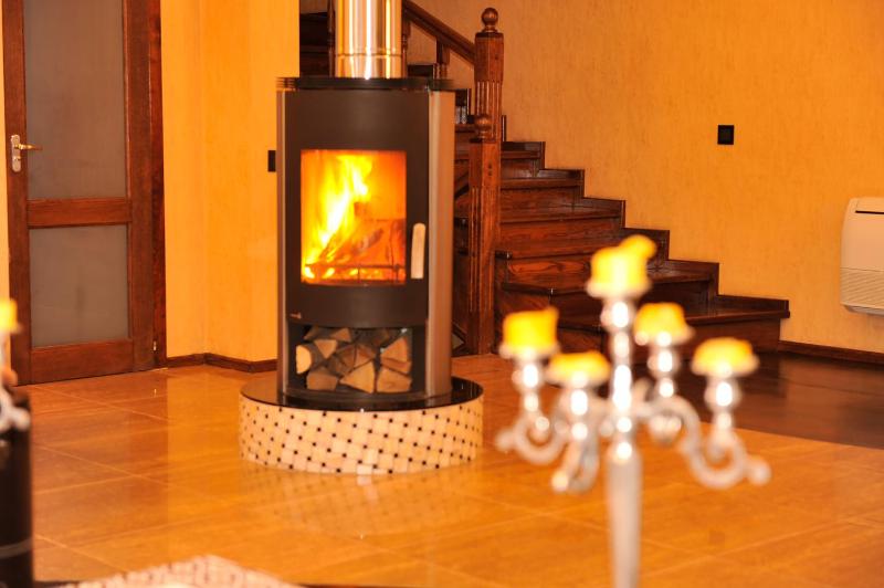 Deluxe Villa image 1