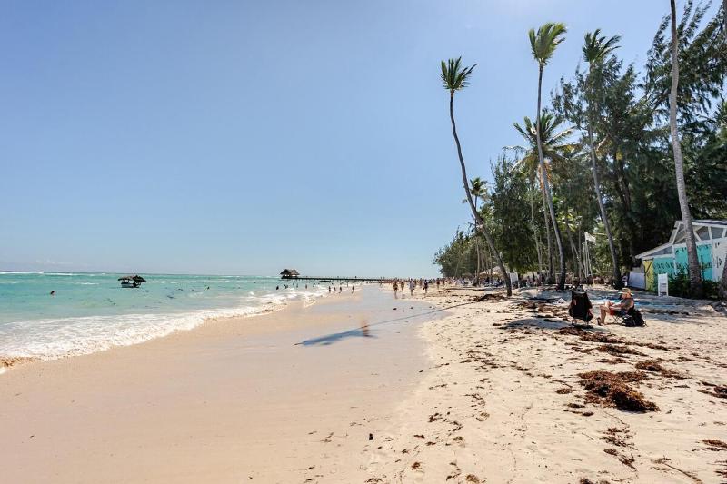 Beautiful on foot from the beach - image 10
