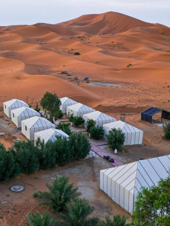 Elite Sahara Desert Camp - image 39