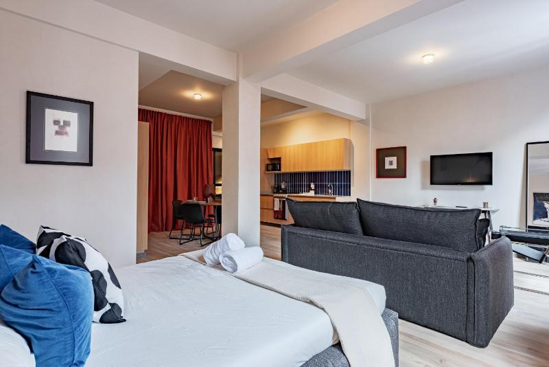 Comfort Luxe Loft near Bellas Artes casaXula - image 14